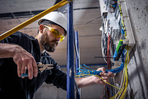 Best Local Electrician Companies  in Black Forest, CO