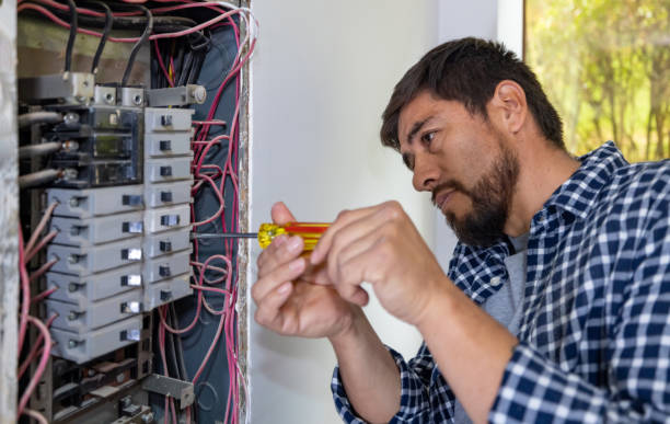 Best Ceiling Fan Installation Electrician  in Black Forest, CO